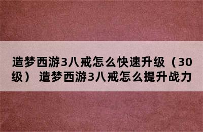 造梦西游3八戒怎么快速升级（30级） 造梦西游3八戒怎么提升战力